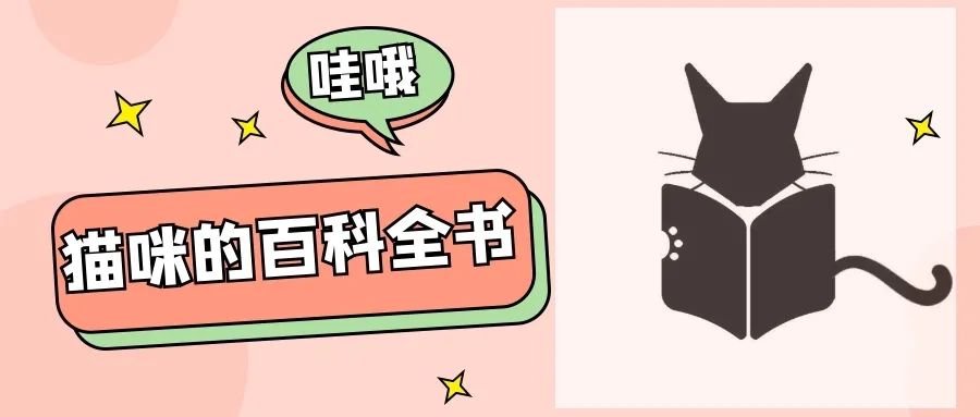 猫咪能吃鸡蛋吗？能吃多少？怎么吃？